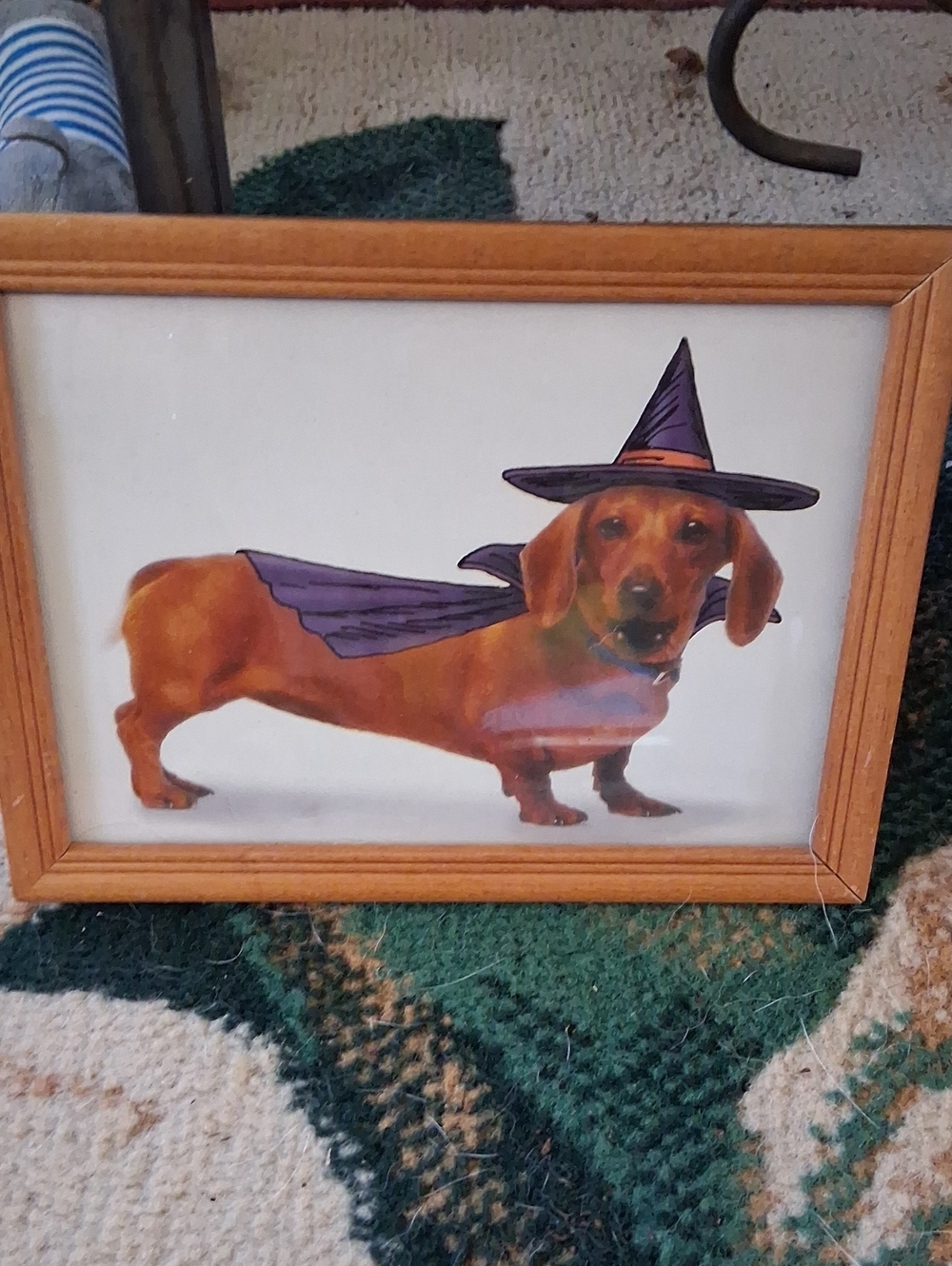 Purple Witch Hat & Cape Dachshund Wall Art - Unbranded